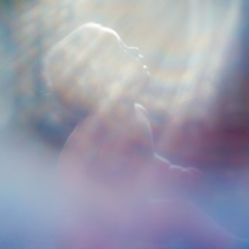 В солнечном свете