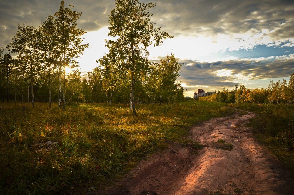 Неизведанная тропа