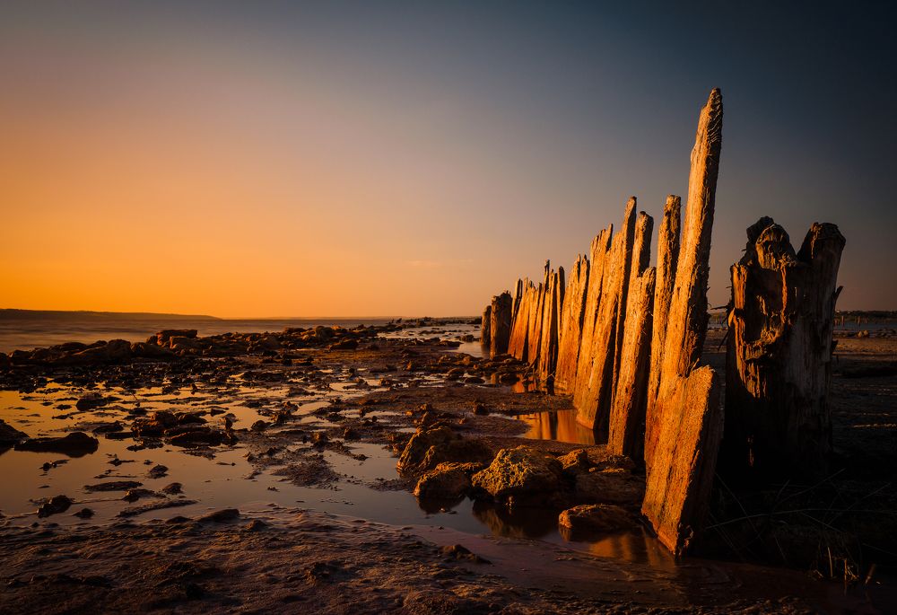 Умирающий лиман