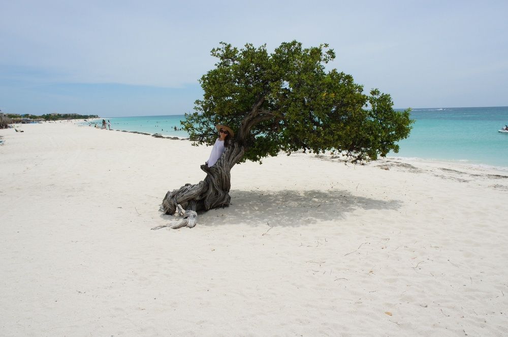 Sintonia com a natureza.