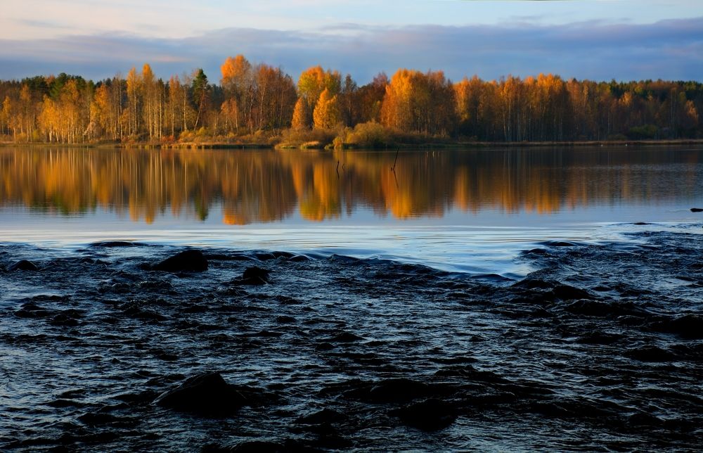 Осень золотая.