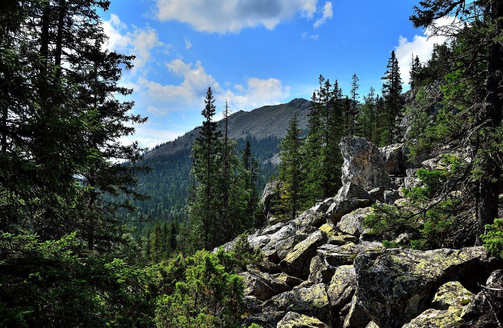 В уральских горах
