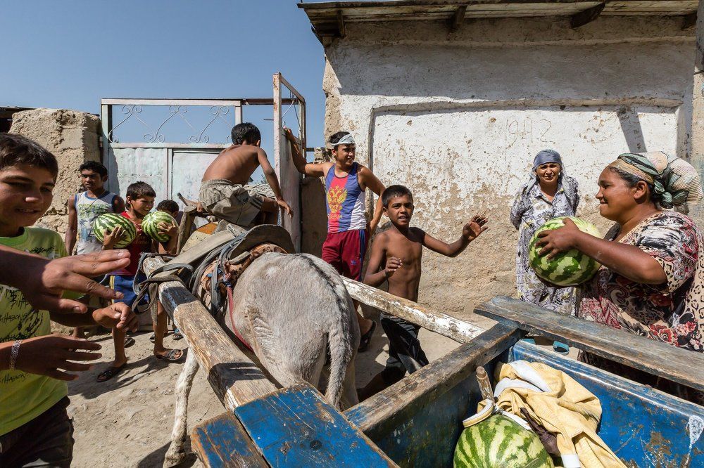 Арбузное счастье