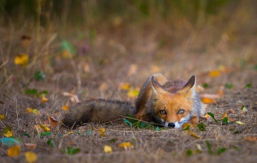 Жизнь прекрасна !