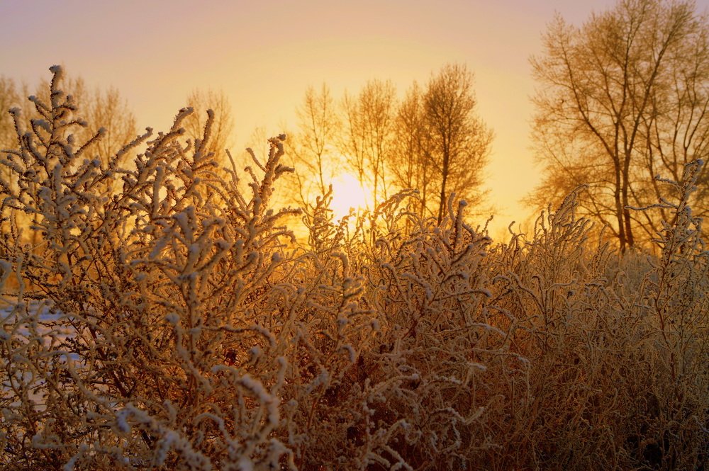 горячий холод