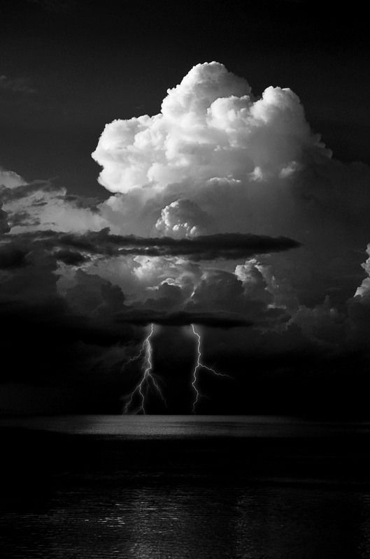 Anastassia Volkova, Estonia