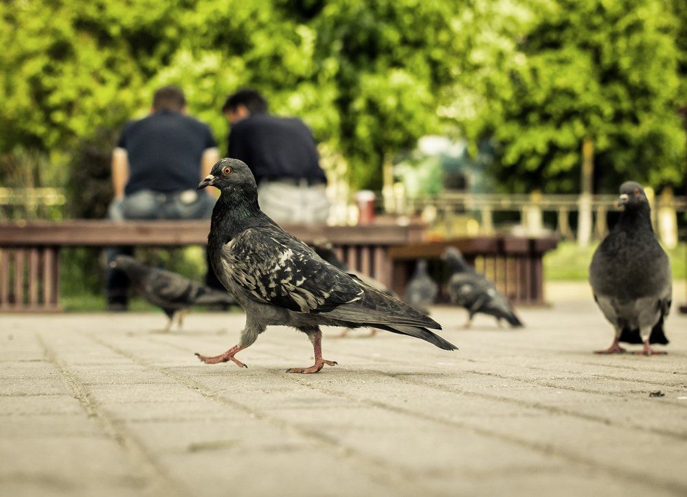 Прогулка по городу