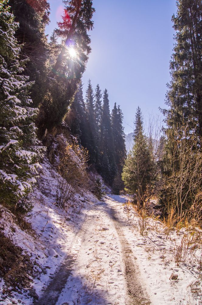 Японская дорога. Заилийский Алатау