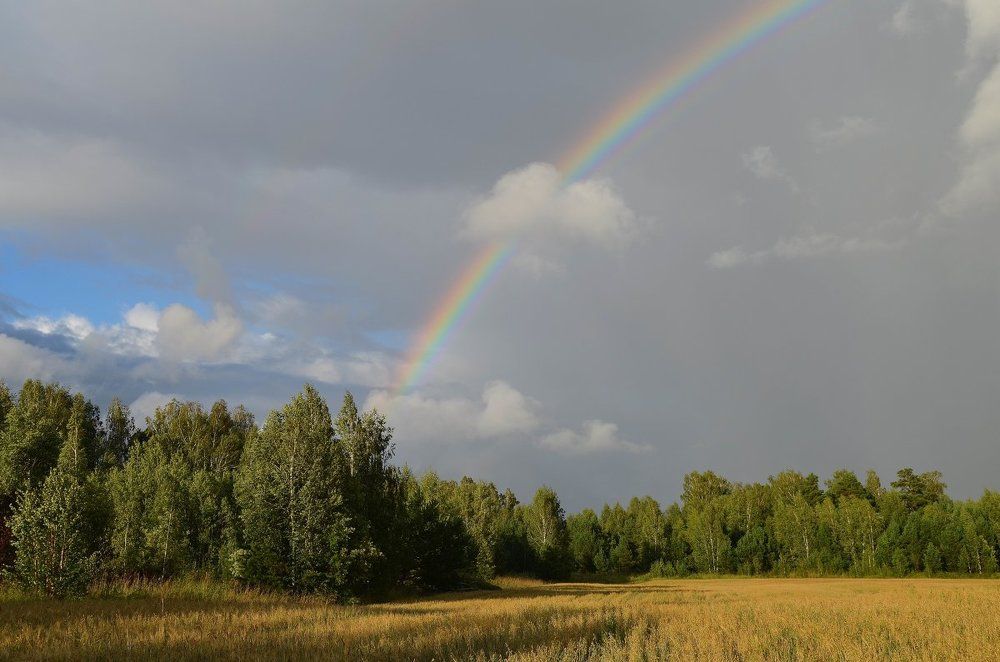 Летняя радуга