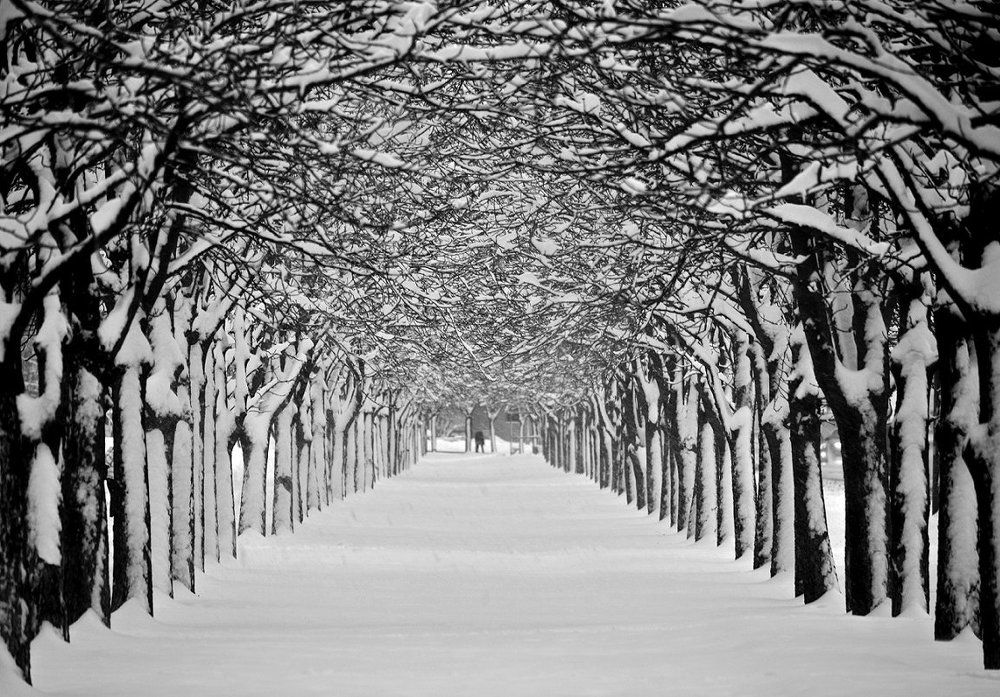 Photograph by Aleksandr M.V.C.