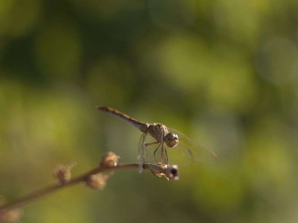 Знакомство