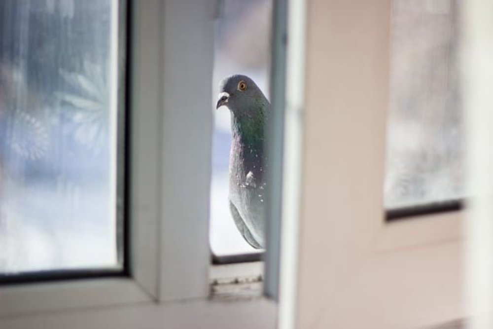 Photograph by Nadezhda Potapova