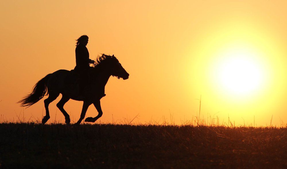 Навстречу солнцу