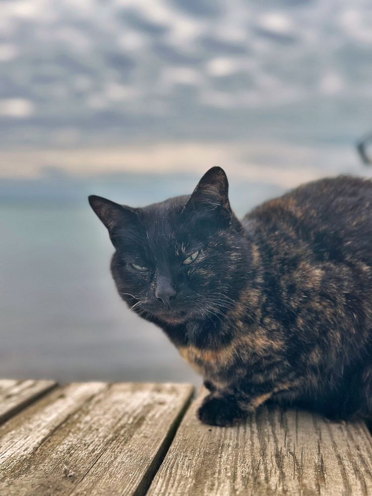 Photograph by Алексей Поляков