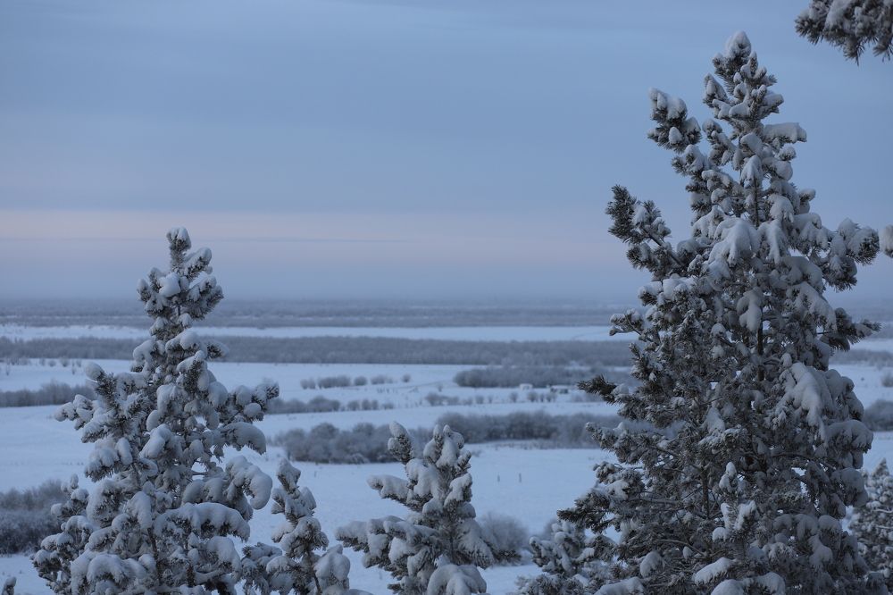 Photograph by Марина Ноговицына