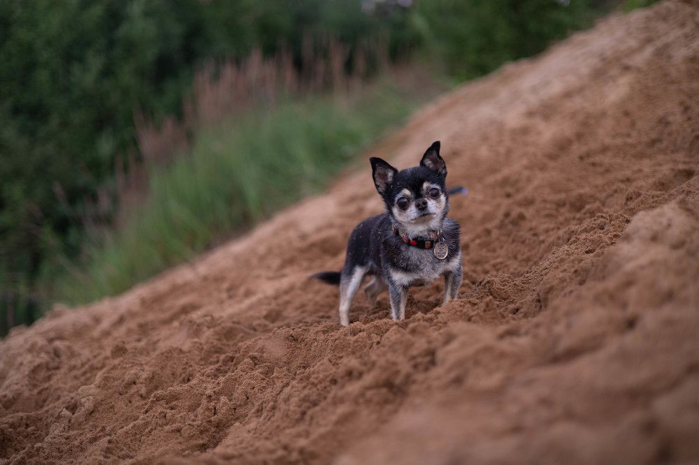 Фотография автора Алина Павлова