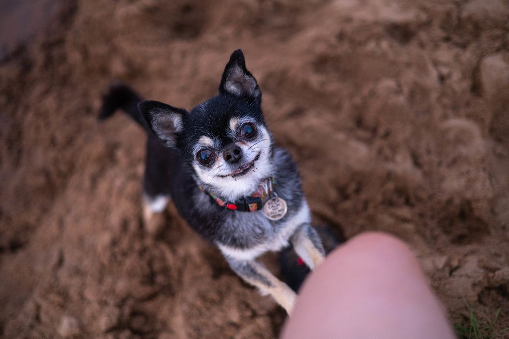 Фотография автора Алина Павлова