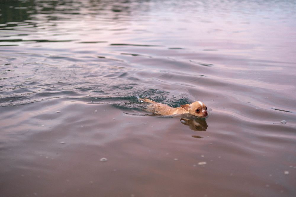 Фотография автора Алина Павлова