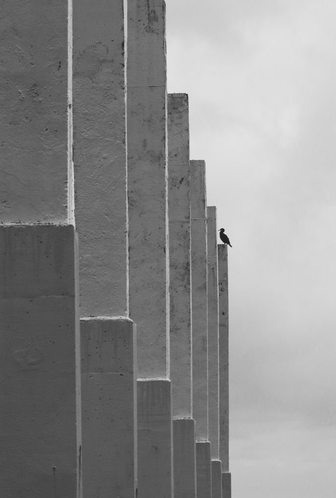 Photograph by Sergey Kovalenko