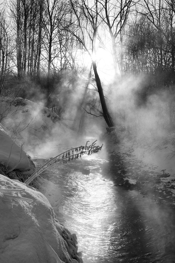 Фотография автора Кулешов Сергей