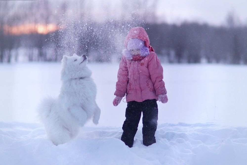 Photograph by Дарья Чистякова