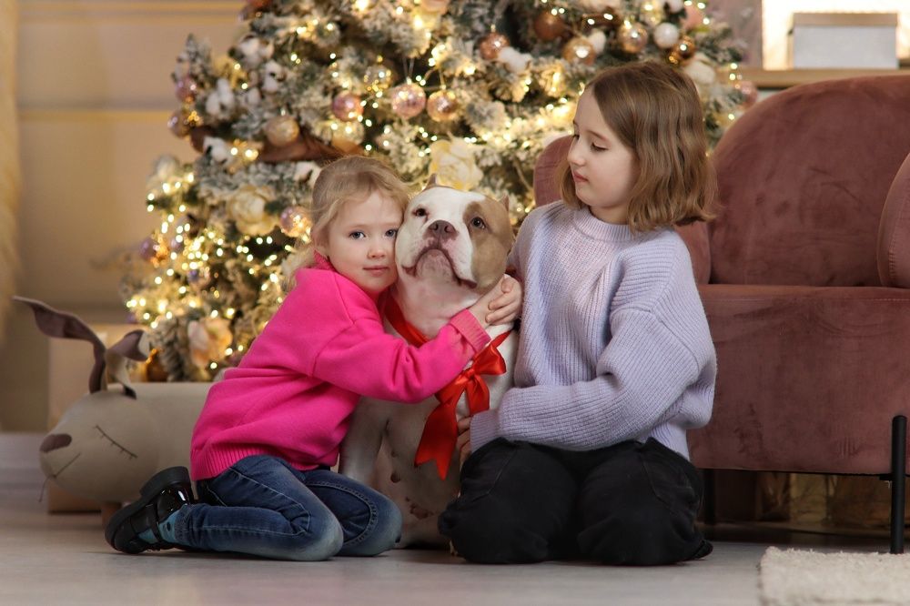 Photograph by Дарья Чистякова