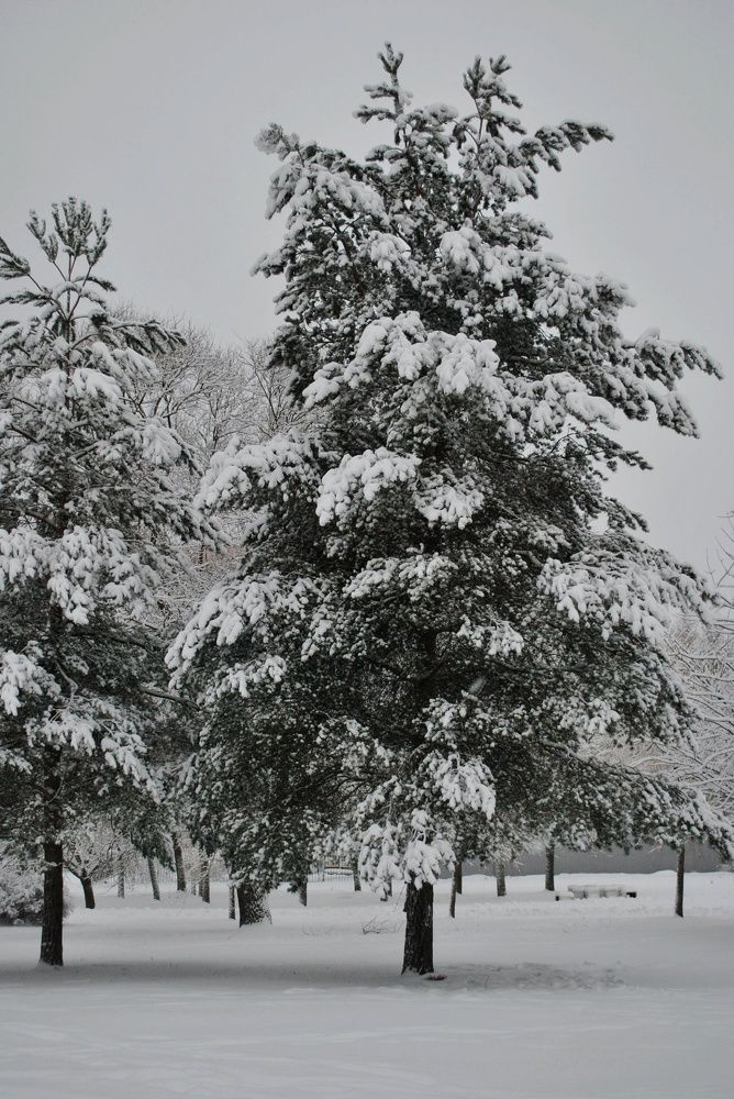 Photograph by Анастасия Юдина