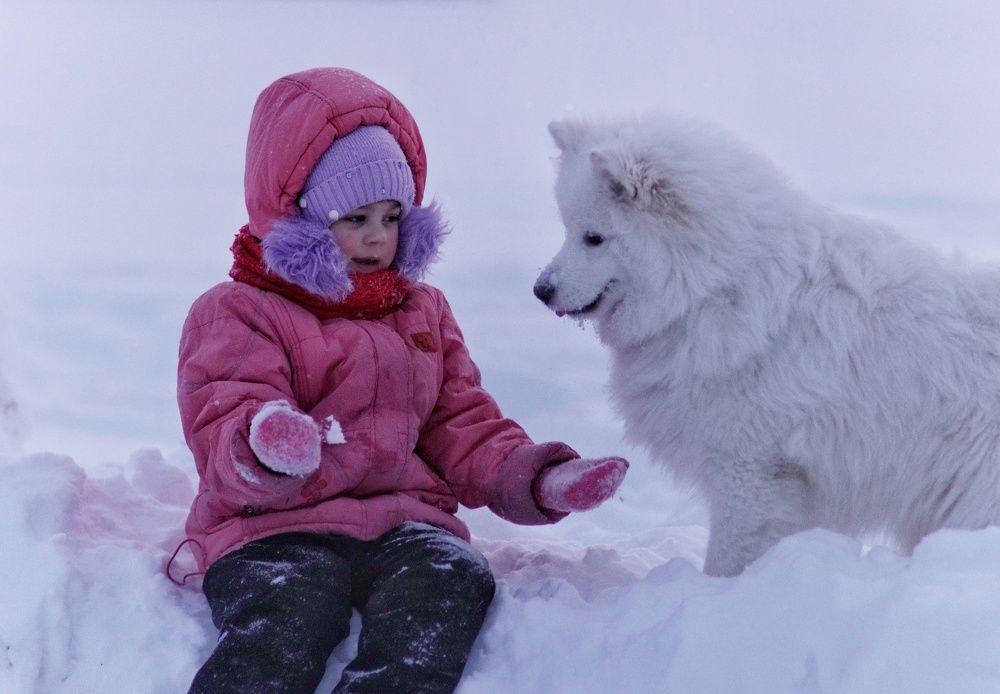 Photograph by Дарья Чистякова