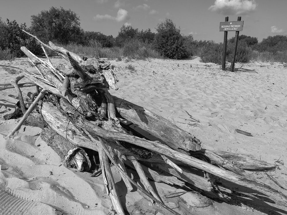 Photograph by Natalia Sopoćko