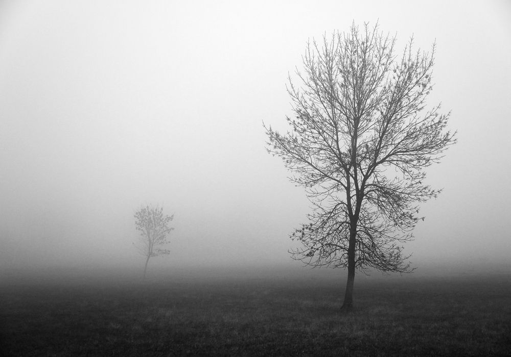 Photograph by Антонина Ахмадеева