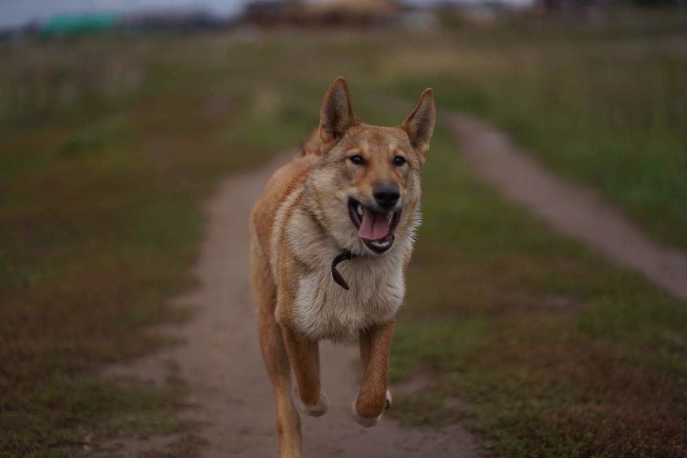 Photograph by Svetlana Reshetnikova