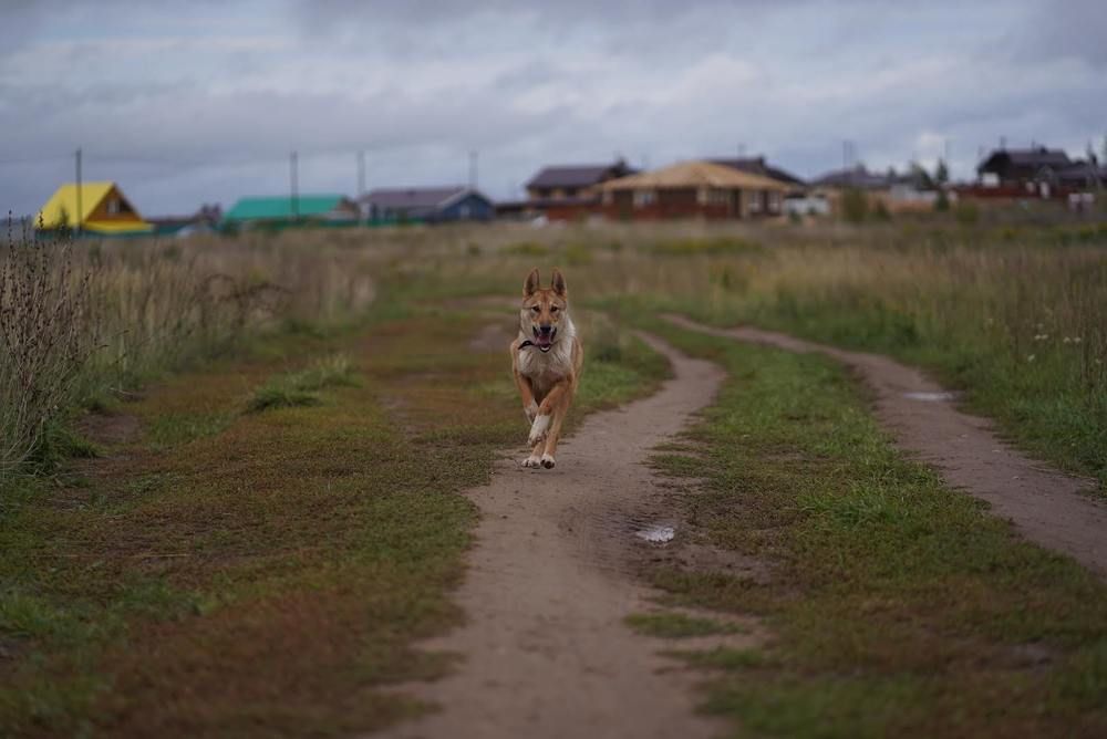 Photograph by Svetlana Reshetnikova