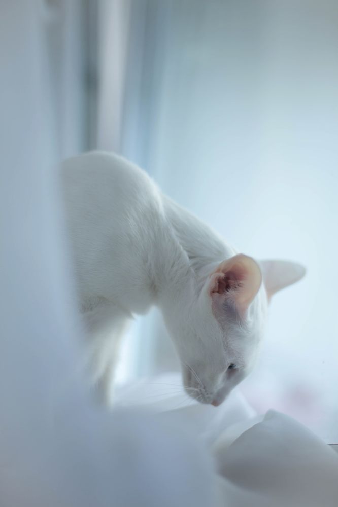 Photograph by Юлия Шишкина (Julia Madera)