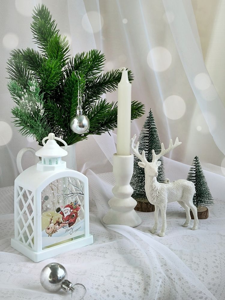 Зимний натюрморт