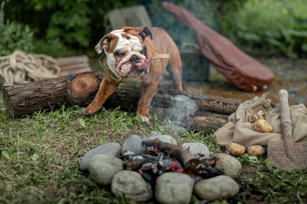 Photograph by Екатерина Каминская