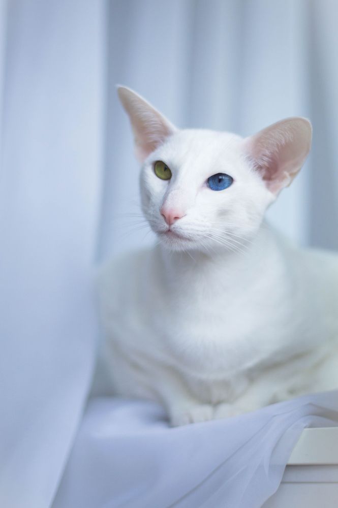 Photograph by Юлия Шишкина (Julia Madera)