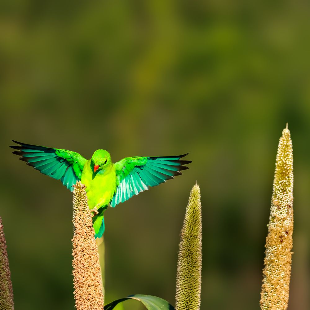 Фотография автора Abhav Mehta