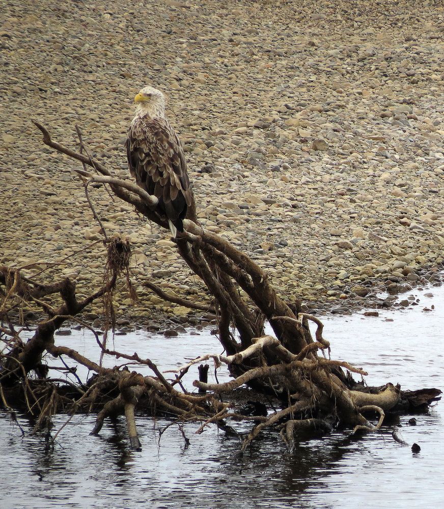 Фотография автора Александр Лютиков