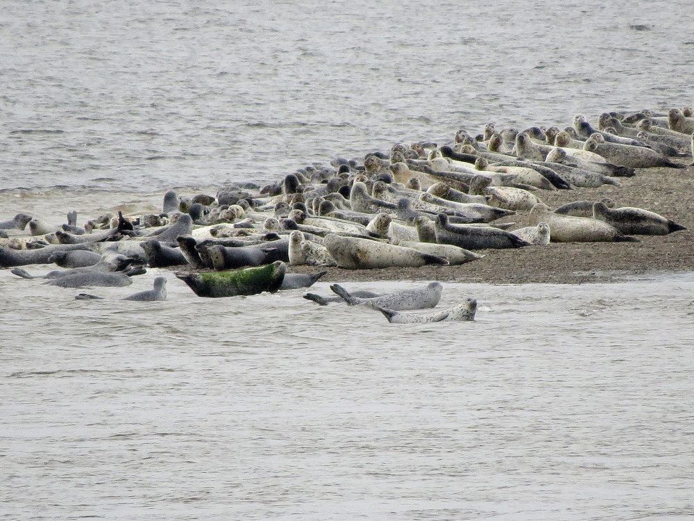 Фотография автора Александр Лютиков