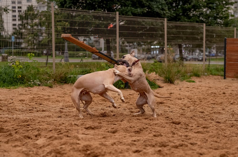 Photograph by Екатерина Каминская