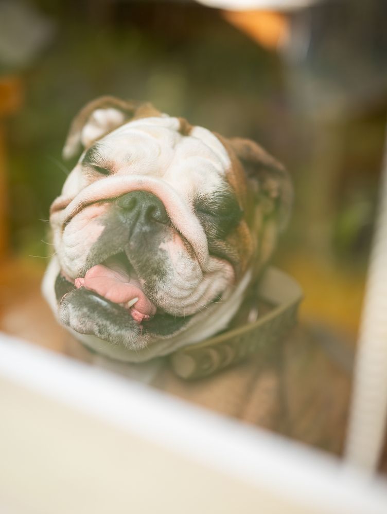 Photograph by Екатерина Каминская