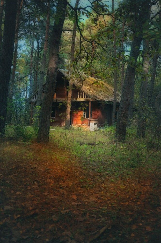 Photograph by Татьяна Максакова