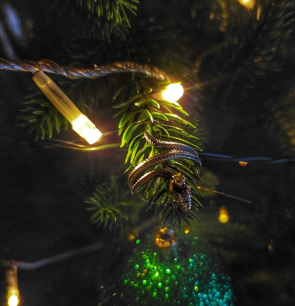 Photograph by Юлия Коробкова