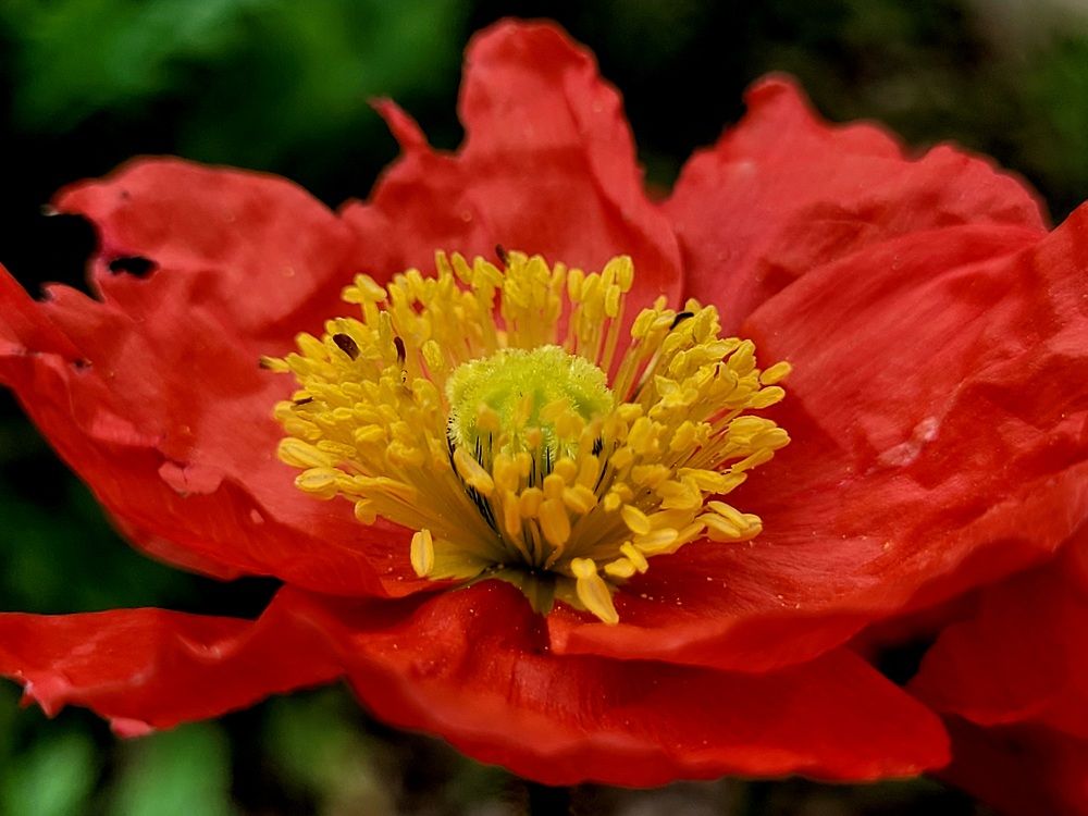 Photograph by Catherine Walter-Prêtre