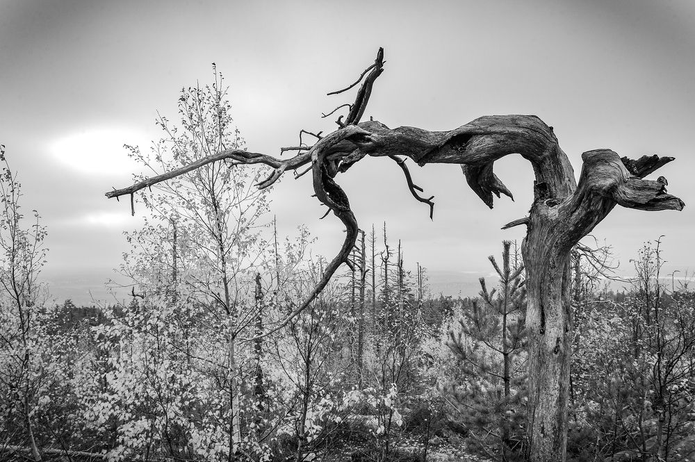 Фотография автора Mikka Hallakas