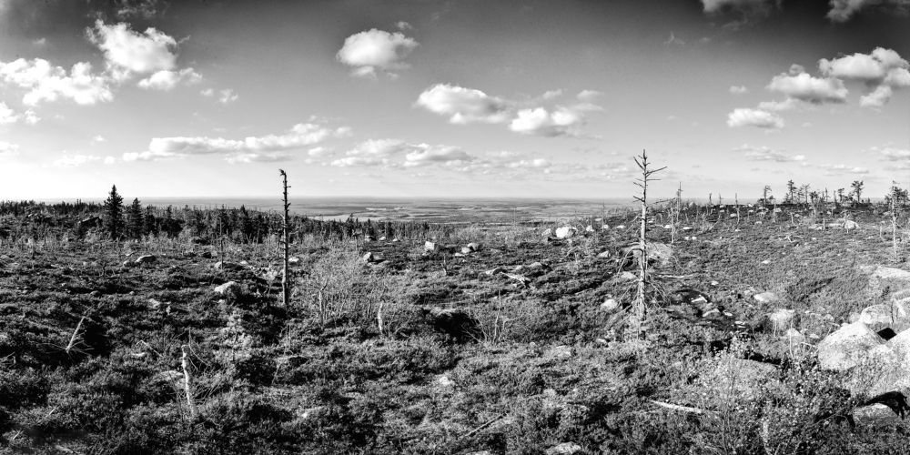 Фотография автора Mikka Hallakas