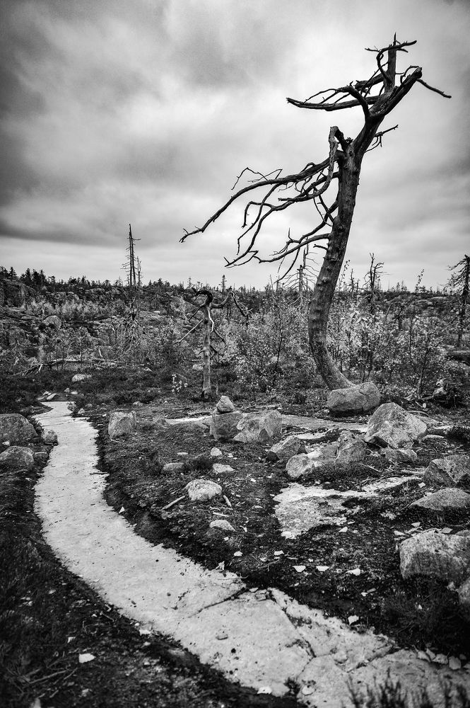 Фотография автора Mikka Hallakas