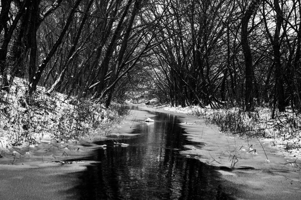 Photograph by Валентина Парфёнова