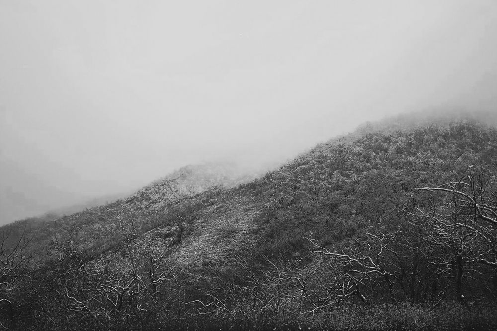 Photograph by Валентина Парфёнова