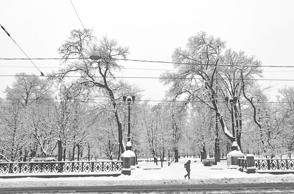 Москва, в парке.